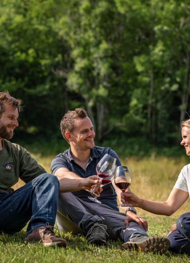 Martina, Andreas und Daniel sitzen im Gras und stoßen mit Weingläsern an