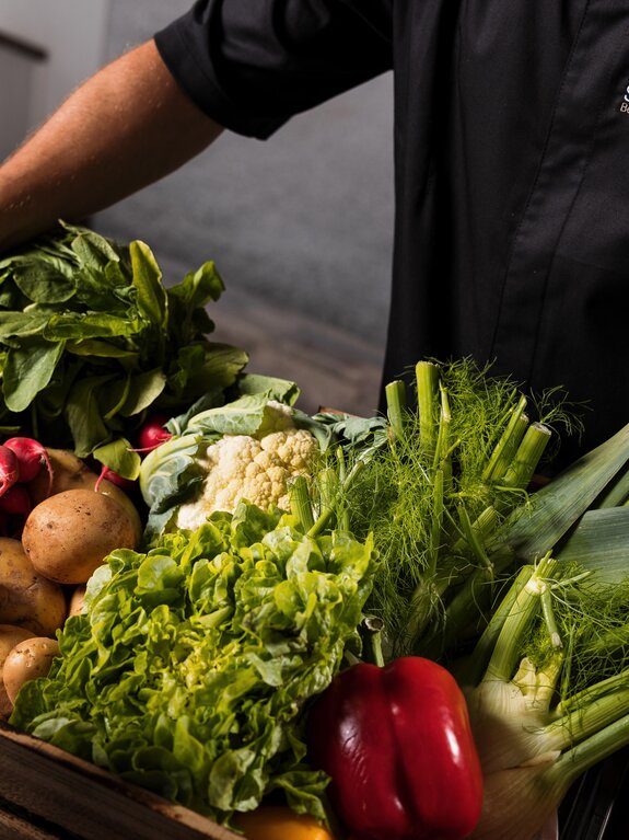 Koch präsentiert frisches Gemüse wie Salat, Radieschen, Fenchel, Lauch und Paprika