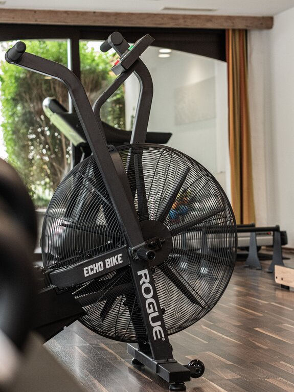 Black Rogue Echo Bike in a gym
