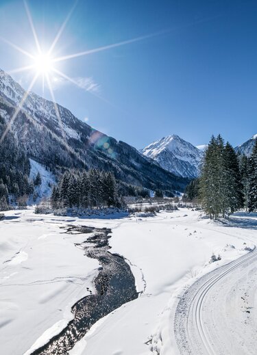 Winter landscape in the Stubai Valley with snow, mountains, trees and sunshine