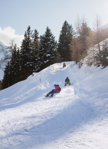 Rodler auf schneebedeckter Rodelbahn vor Bergkulisse und Bäumen im Stubaital