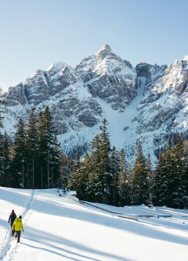 Two hikers in the snow in front of a mountain backdrop with fir trees