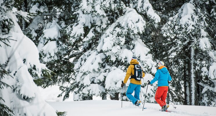 Schneeschuhwanderer in bunter Kleidung im verschneiten Winterwald