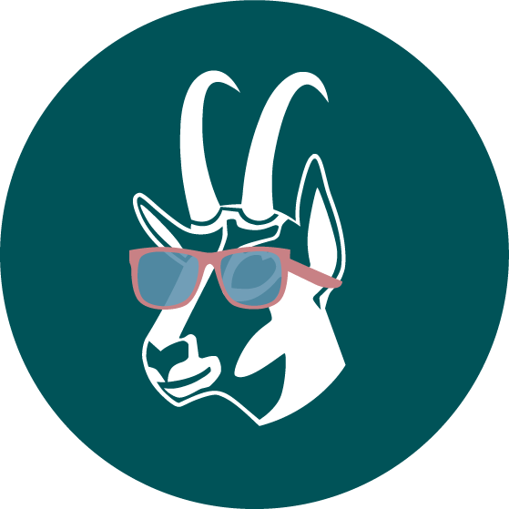 Gams: SONNENBRILLE