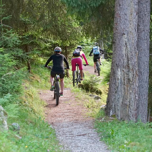mountain bike holiday with the family
