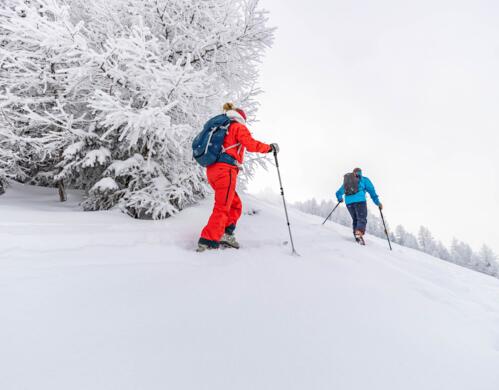 ski tours Stubai Valley