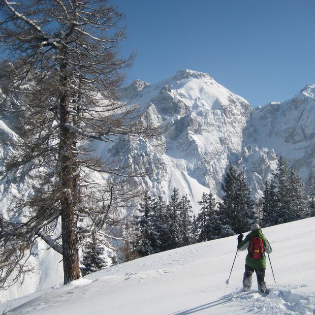 Winterurlaub Stubaital: Schneeschuhwandern
