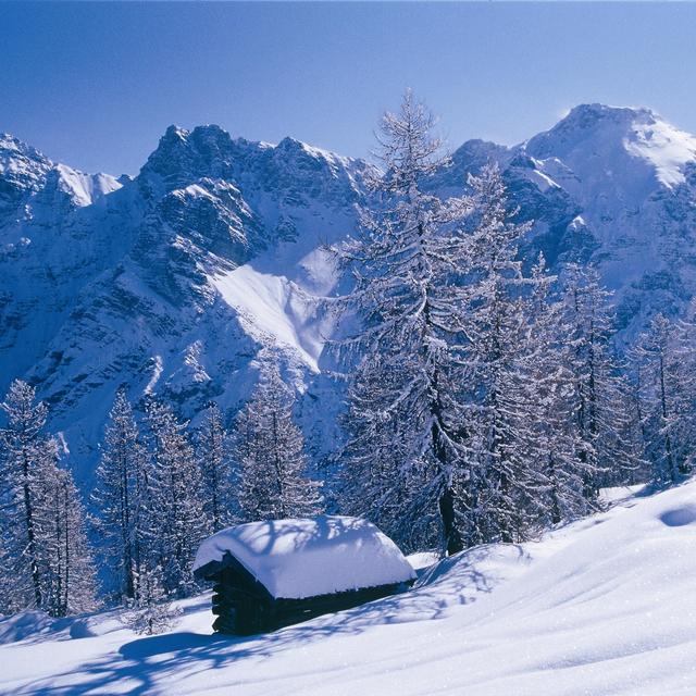 hotel with alpine hut tyrol